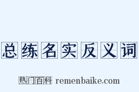 总练名实反义词是什么意思的图片